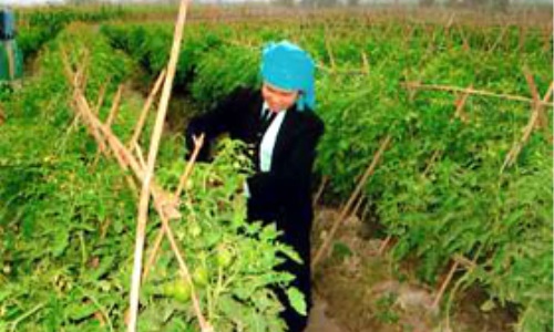Nghĩa Lộ xây dựng chương trình công tác toàn khóa có trọng tâm, trọng điểm